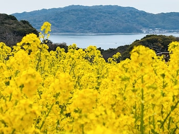 のこのしまアイランドパーク Villa防人