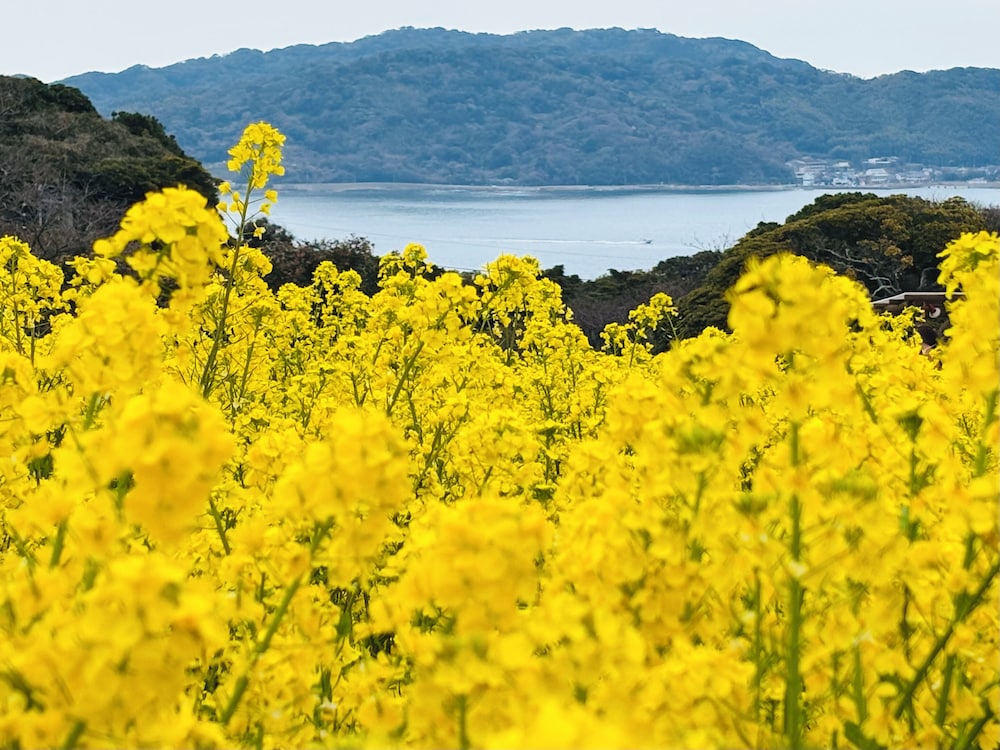 メインイメージ | のこのしまアイランドパーク Villa防人