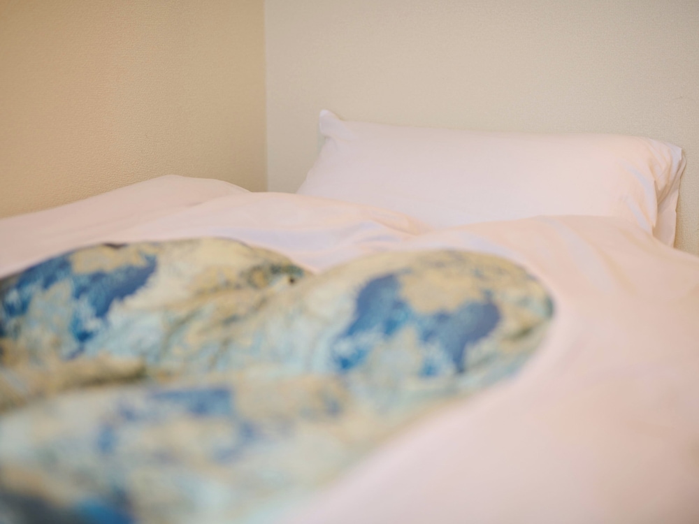 [禁煙] ツインルーム シャワーあり、バス・トイレ共用 客室2 | サンモリッツ