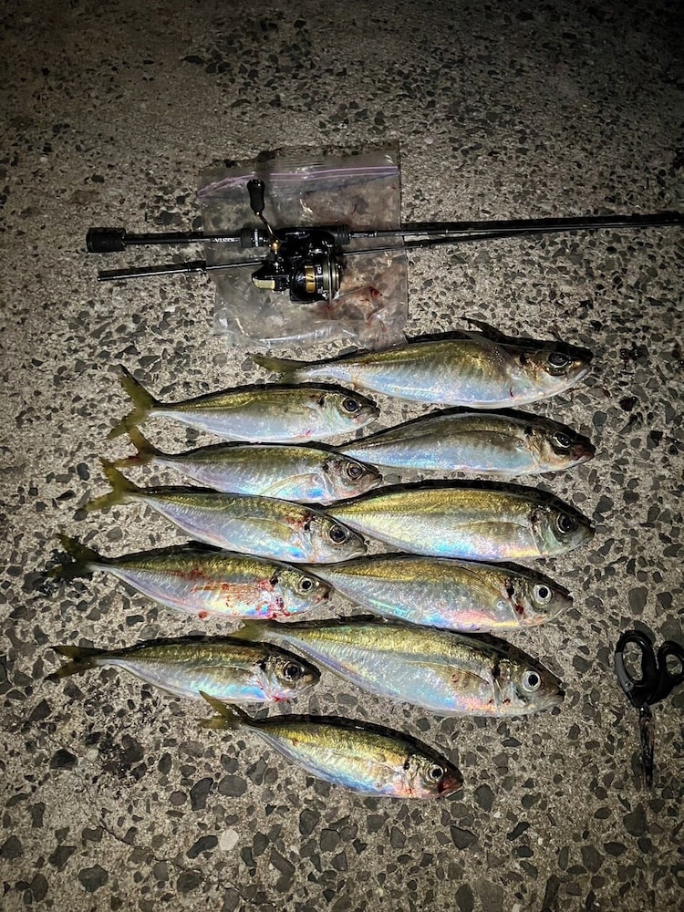 釣り1 | アソビヤハウス壱岐