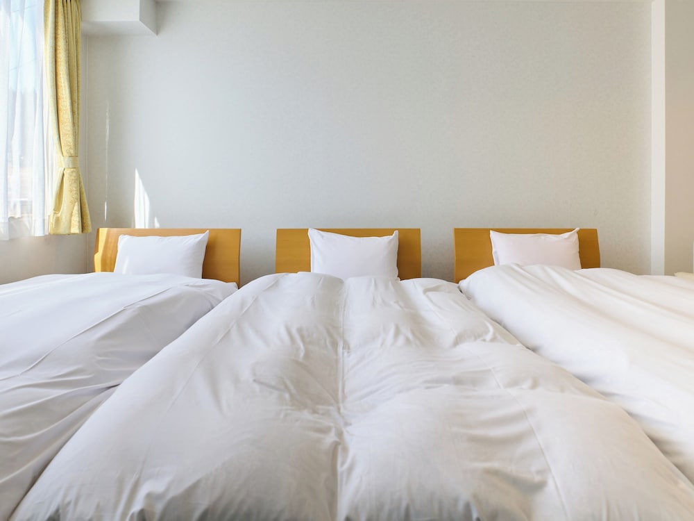 トリプルルーム 禁煙 客室3 | おわらビューホテル