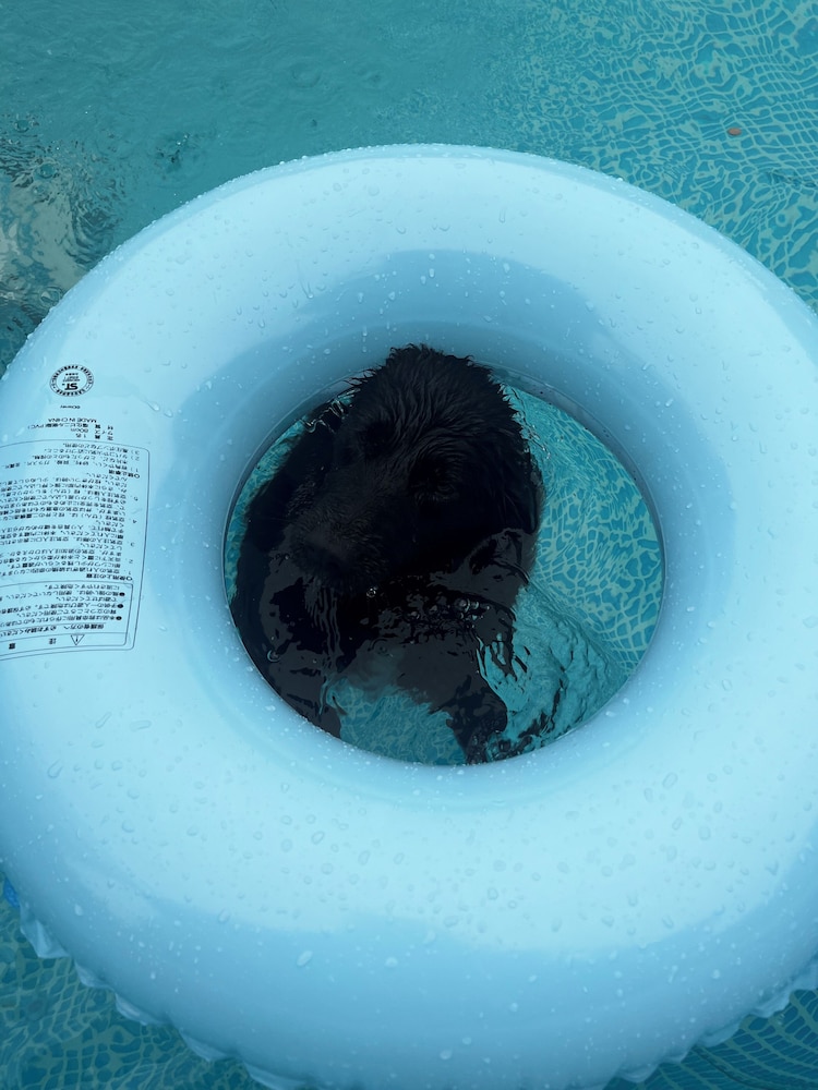 ルーム ラナイ パークビュー テラス / パティオ0 | ドライブイン一宮