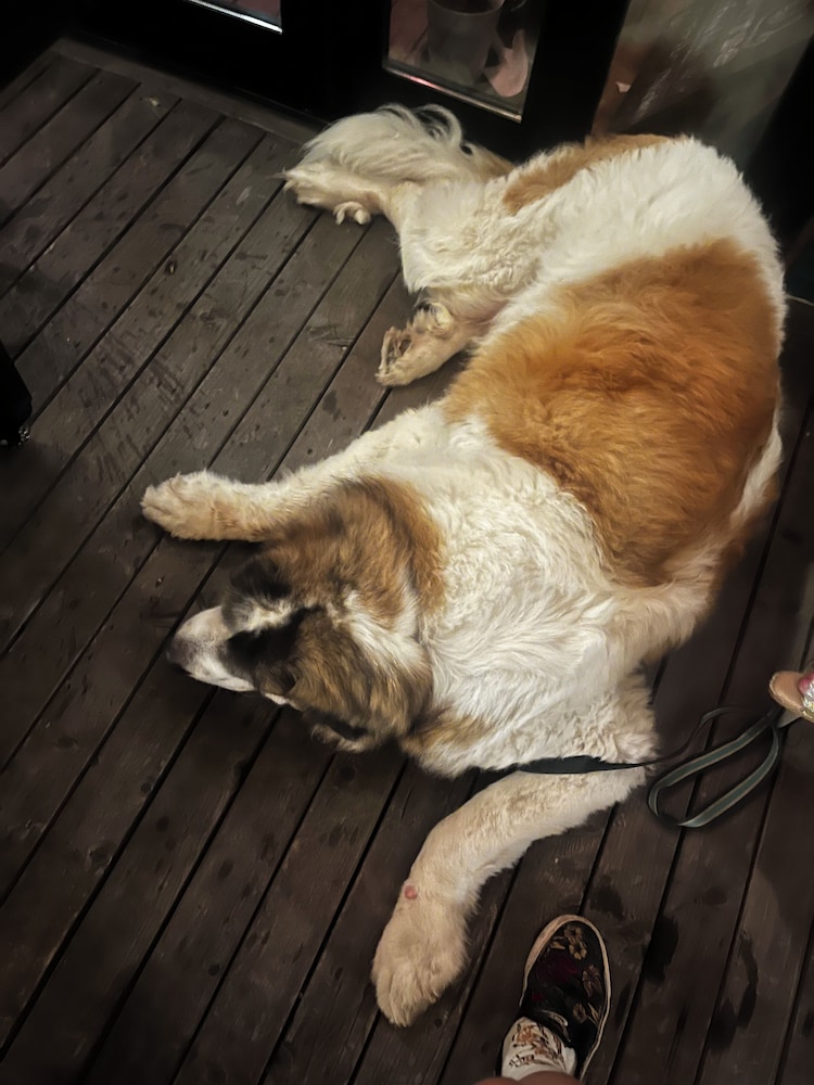 ベーシック ツインルーム パークビュー テラス / パティオ0 | ドライブイン一宮