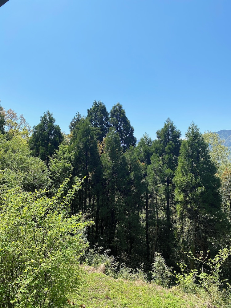 スタンダード ツインルーム 禁煙 マウンテンビュー (共用シャワー＆トイレ) 客室3 | 個室ゲストハウス オルサみなみあそ