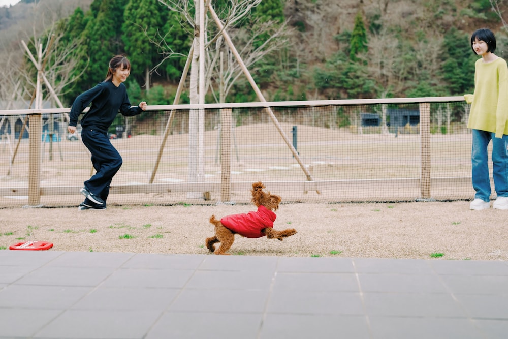 ラグジュアリーキャビン 禁煙 (ペット同伴可) 客室6 | 山座熊川