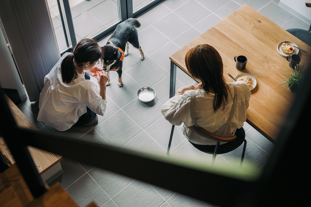 ラグジュアリーキャビン 禁煙 (ペット同伴可) 客室5 | 山座熊川