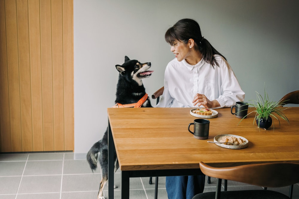 ラグジュアリーキャビン 禁煙 (ペット同伴可) 客室の設備とサービス1 | 山座熊川