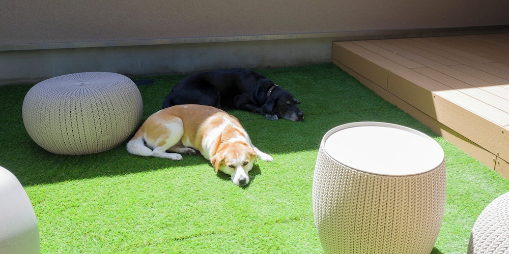 [B] 4クイーンベッド (ドッグフレンドリー) / 10名定員 客室7 | Rakuten STAY VILLA 箱根桃源台