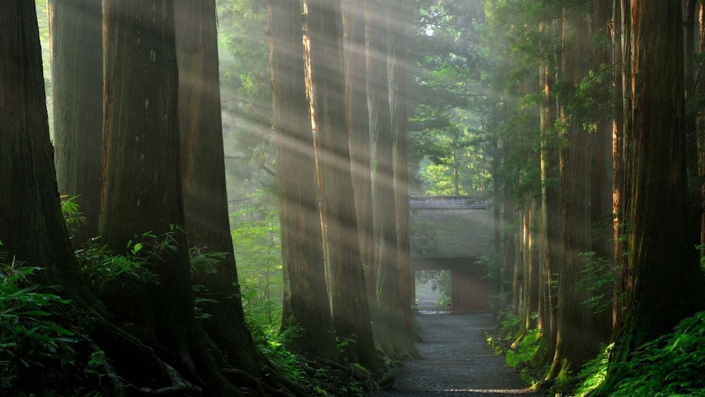 観光スポット1 | Private Retreat Nagano Togakushi