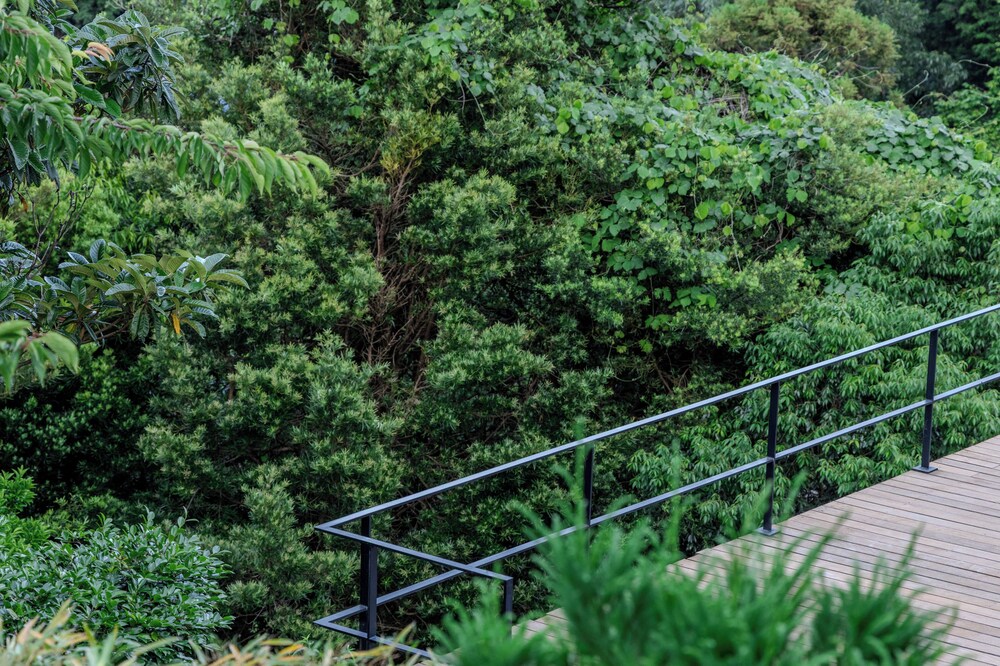 トラディショナル ルーム バルコニーからの眺望0 | 瑞光園