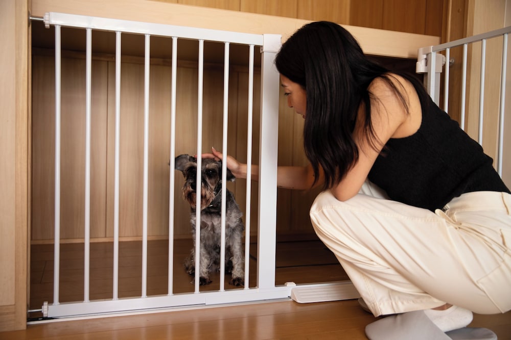 ファミリー ヴィラ オーシャンビュー 客室内のダイニングエリア2 | SANTE 4073 STAY & SAUNA HAKATA ISLAND 1