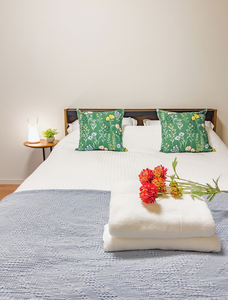 エリート ダブルルーム 1 ベッドルーム 禁煙 バルコニー 部屋からの景観0 | ideas ASAKUSA