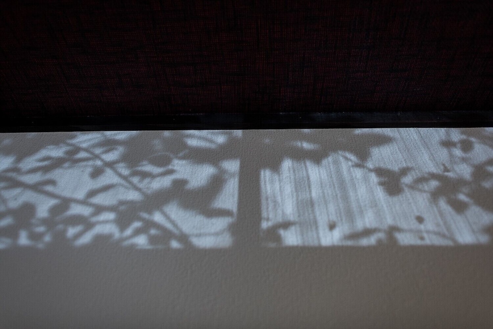 エコノミー ツインルーム 禁煙 客室1 | 大正由布の花