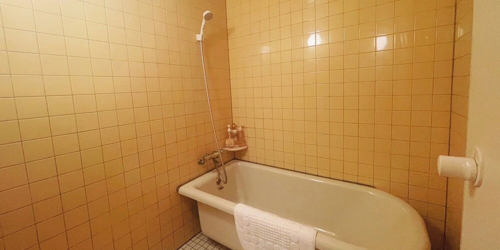 ダブルルーム（Double Room） バスルーム0 | ペンション バルミー