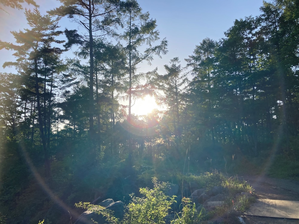 中庭1 | ペンション　エバーグリーン