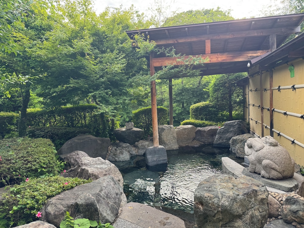 メイン イメージ1 | 幡谷温泉ささの湯 メイン イメージ1 | 幡谷温泉ささの湯