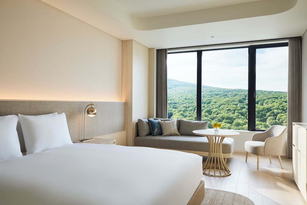 プレミアム ルーム キングベッド 1 台 マウンテンビュー 客室1 | シャレー アイビー ワイス