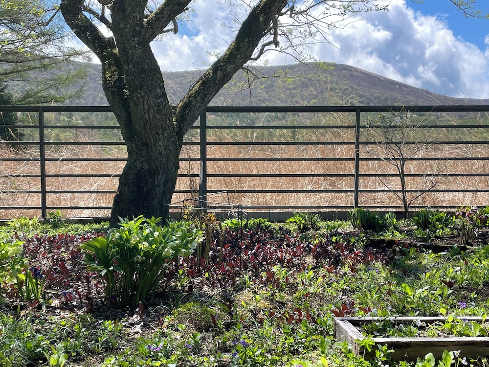 ラグジュアリー コテージ 4 ベッドルーム キッチン ガーデンビュー ガーデン ビュー0 | GARDEN SHED