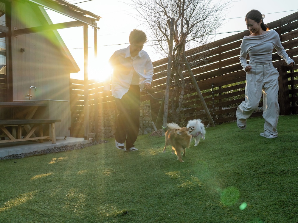 Standard with dogrun, Non Smoking | Lazy Inn.