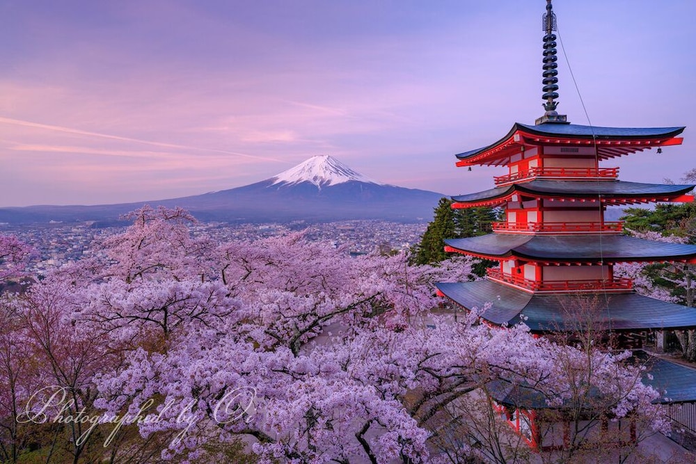 メインイメージ | イン・ザ・富士