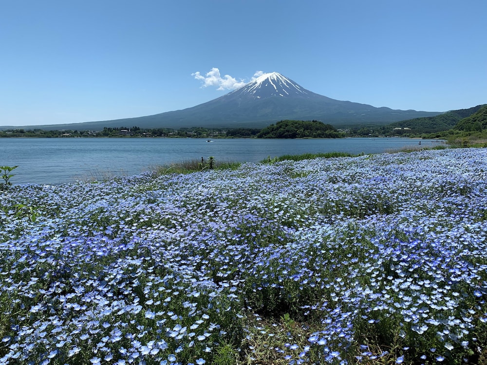 ハイキング1 | AileHouse A・B ハイキング1 | AileHouse A・B