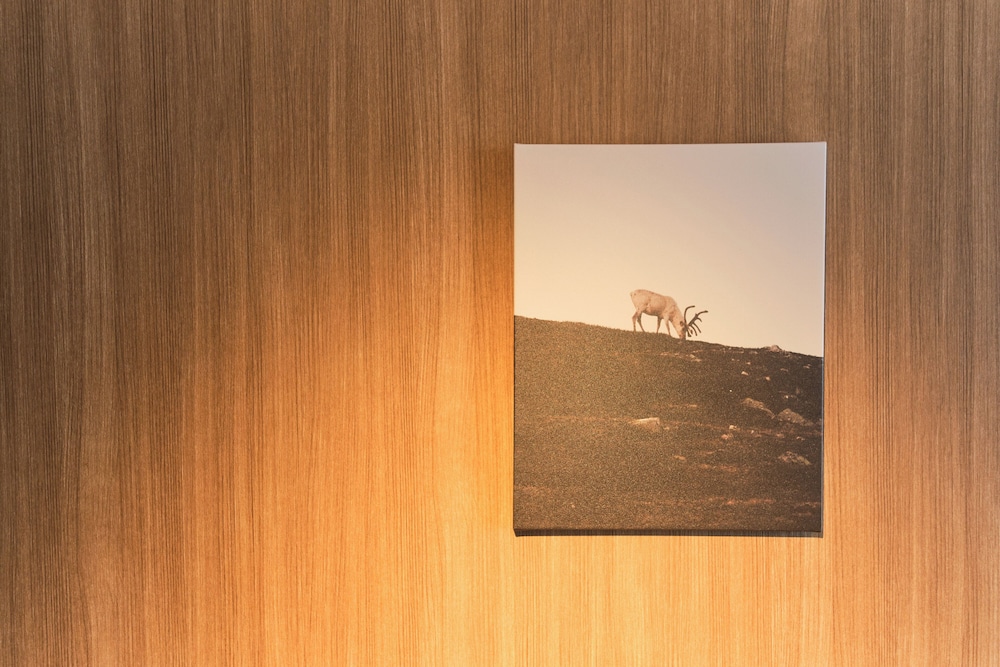 503 (3p) 禁煙 客室17 | ユープレイス下北沢