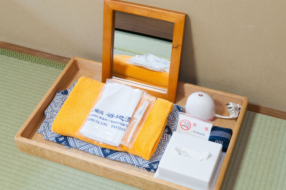 [本館] 和室8畳(お手洗い, 洗面所なし) 客室2 | 谷地温泉