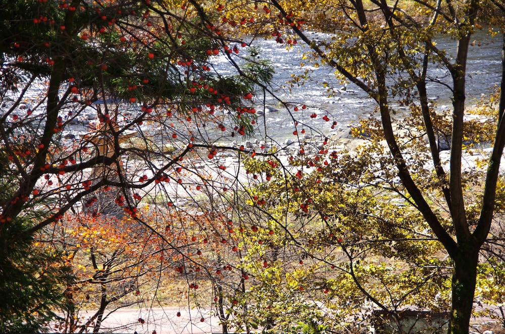 スイート和洋室 展望温泉付 | 下呂温泉 悠久の華