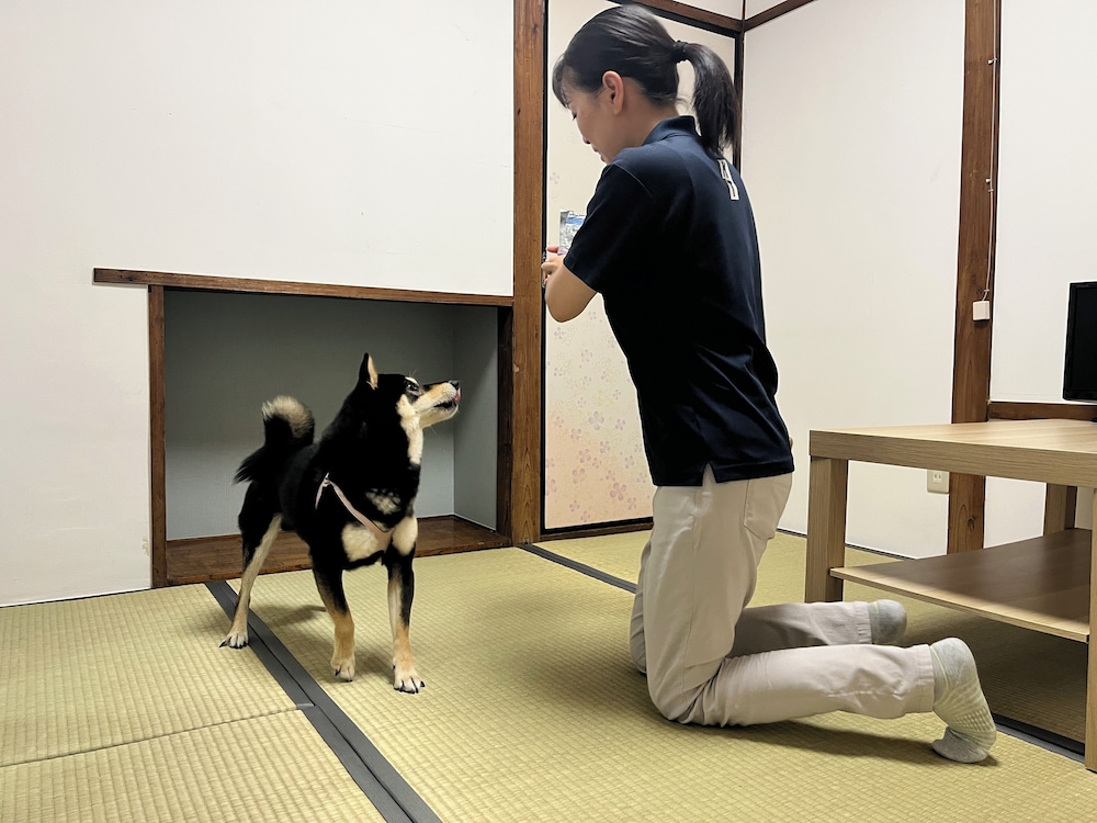 トラディショナル アパートメント 客室2 | 日田ホステル