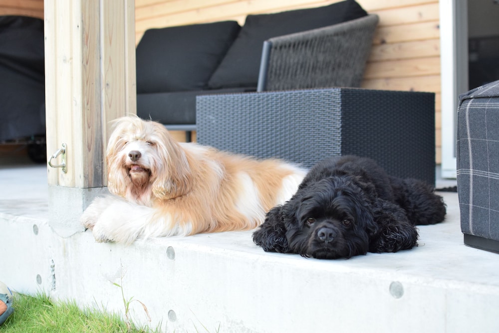 デラックス ヴィラ テラス / パティオ1 | THE CHIKURA UMI BASE CAMP