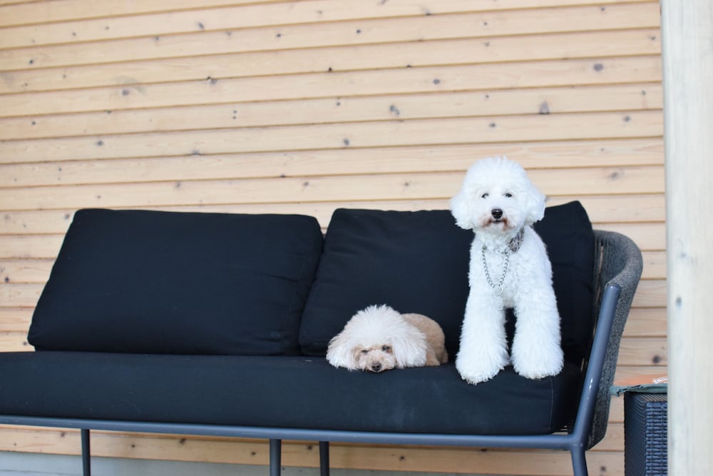 デラックス ヴィラ | THE CHIKURA UMI BASE CAMP