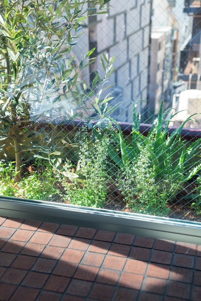 コンフォート ダブルルーム クイーンベッド 1 台 専用バスルーム シティビュー 部屋からの景観0 | SOIL Nihonbashi Hotel