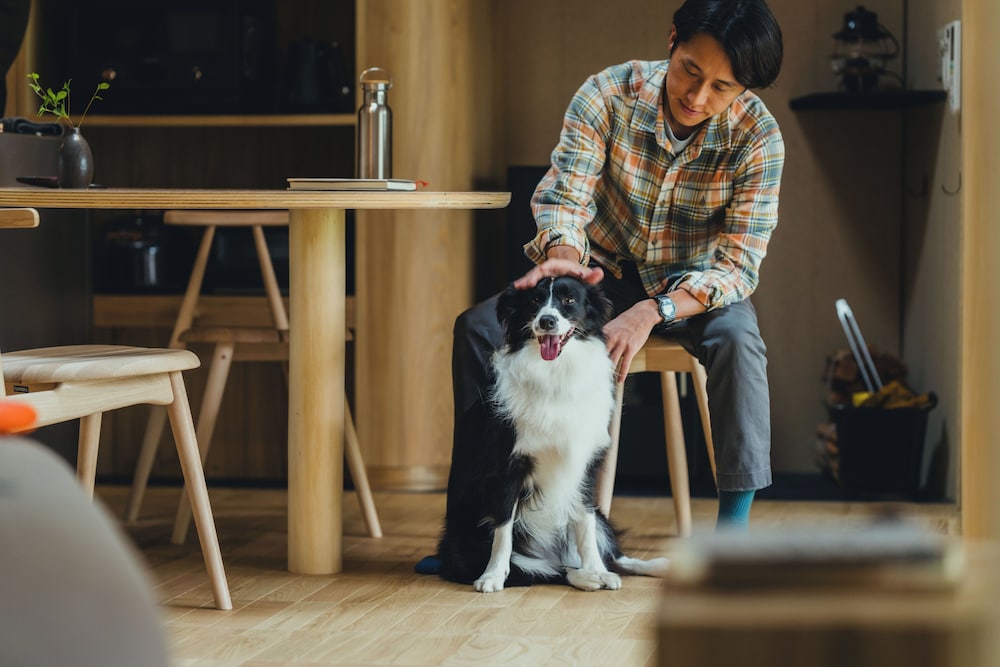 客室1 | SANU 2nd Home 八ヶ岳3rd