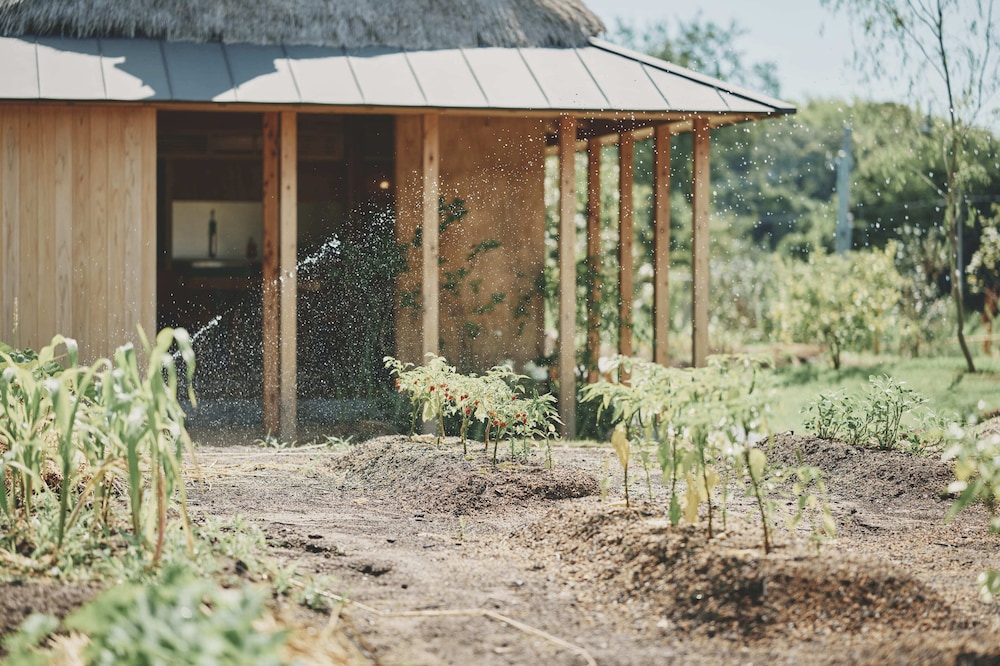 稲の家 禁煙 | はたけのリゾート 燦燦Villa