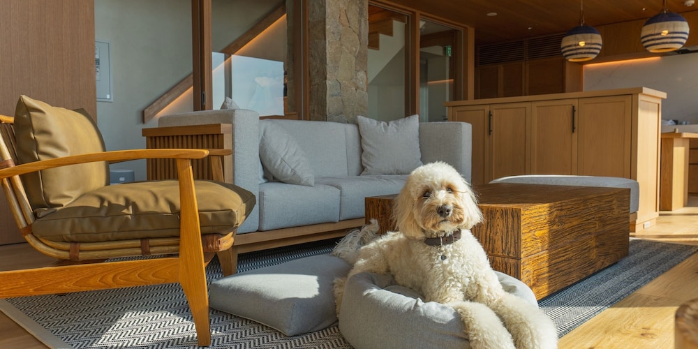 ヴィラ ペットとの宿泊可 オーシャンビュー 客室11 | UMITO VILLA 鎌倉 材木座