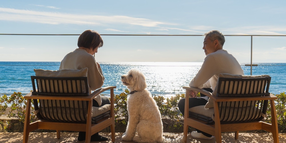 ヴィラ ペットとの宿泊可 オーシャンビュー 客室9 | UMITO VILLA 鎌倉 材木座