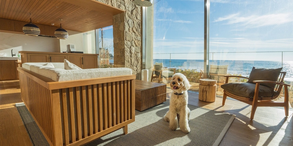 ヴィラ ペットとの宿泊可 オーシャンビュー 客室10 | UMITO VILLA 鎌倉 材木座