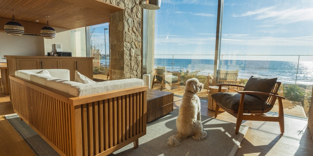 ヴィラ ペットとの宿泊可 オーシャンビュー 客室12 | UMITO VILLA 鎌倉 材木座