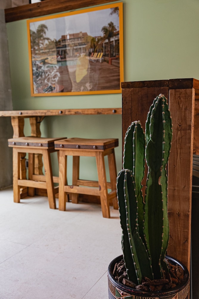 レストラン1 | The Shore INN COAST LIFE at CHATAN