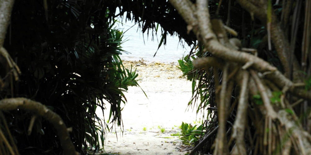 ビーチ1 | オーシャンヴィラ徳之島-Ocean Villa Tokunoshima