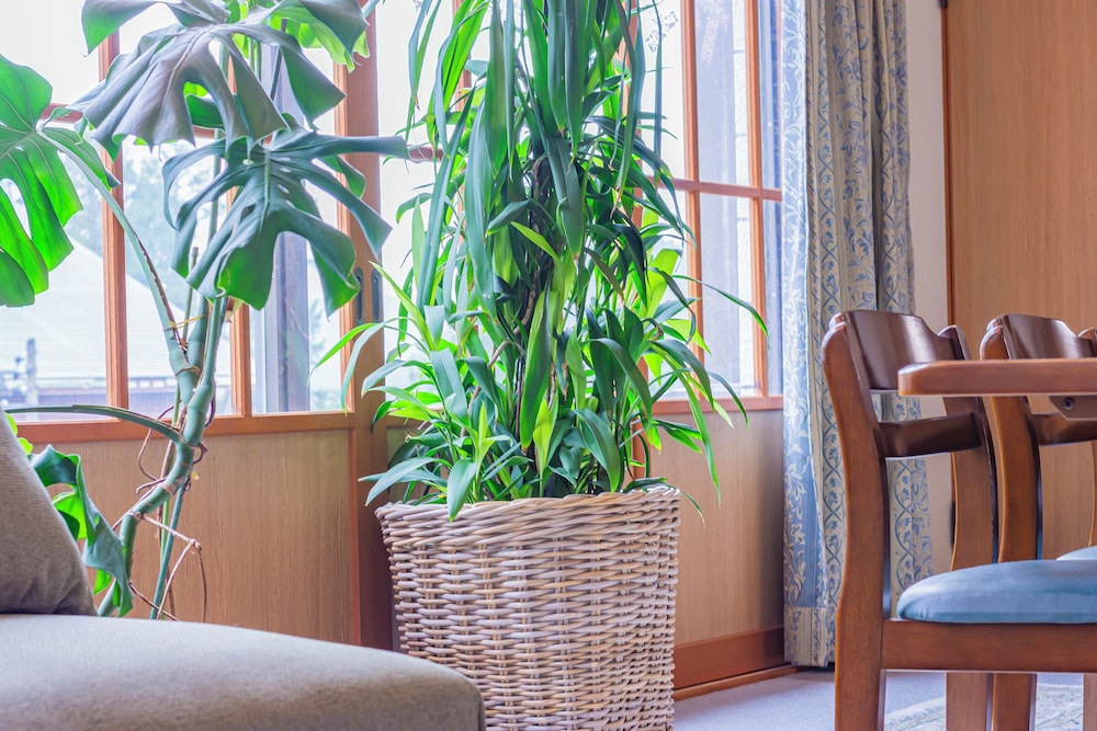 客室1 | The Snowfront Apartment Nabe Sun -HAKUBA GORYU-