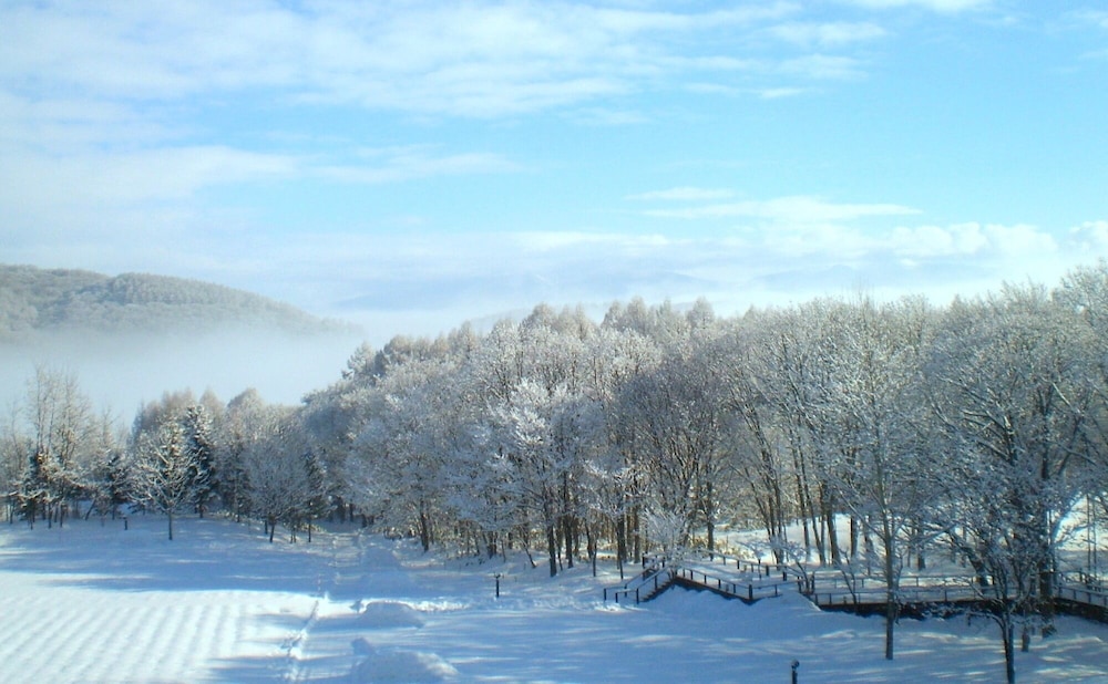 デラックス ツインルーム ガーデン ビュー0 | 富良野ホテル　