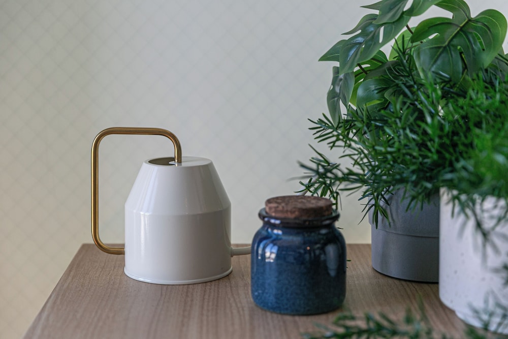 ファミリー ルーム 客室17 | Hotel Edge Nakasu