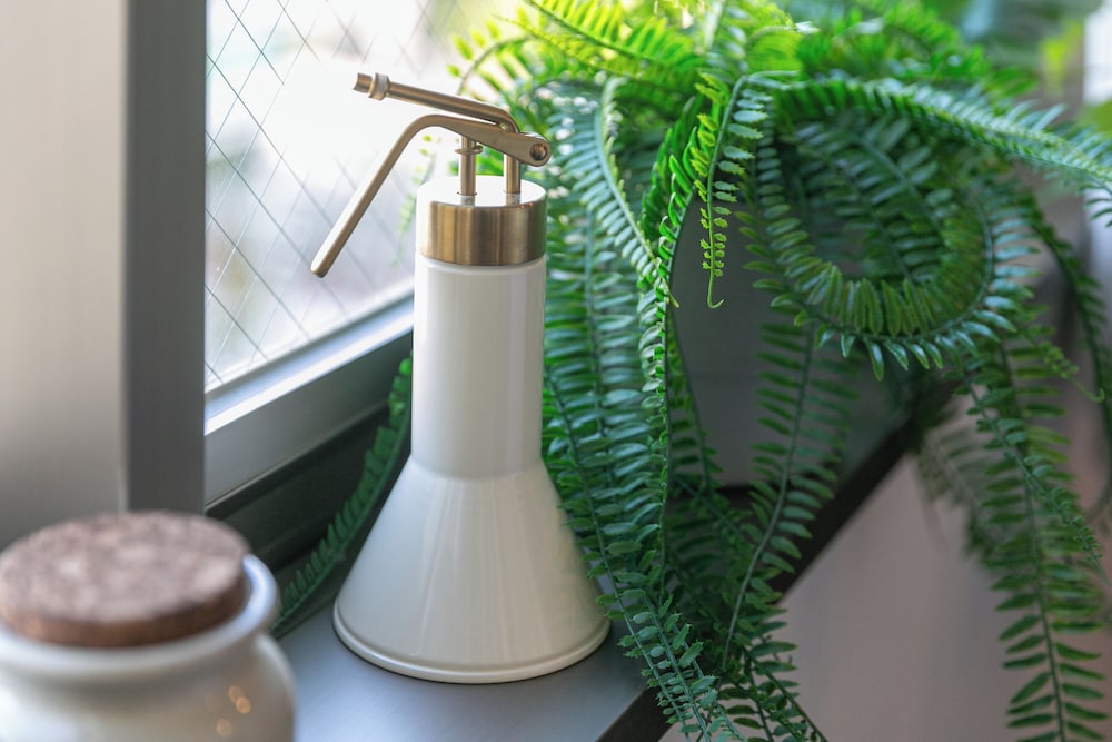 ファミリー スタジオ 客室20 | Hotel Edge Nakasu