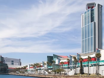 リブマックスさきしまコスモタワーホテル