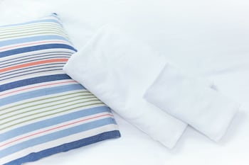 Zenith shinjuku 檜 B