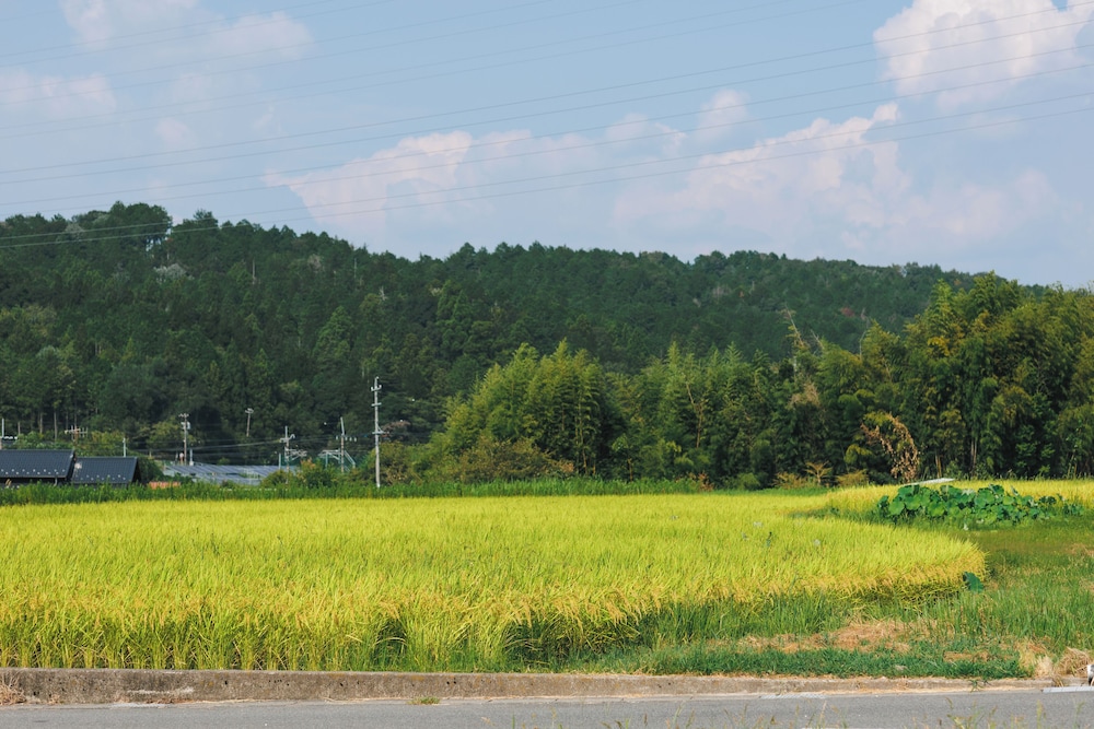 ファミリー ハウス 4 ベッドルーム 禁煙 部屋からの景観0 | 古民家の宿 Yamotas 馬籠