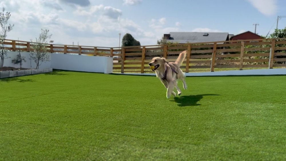 ファミリー ヴィラ パティオ オーシャンビュー テラス / パティオ3 | Aoniwa -碧庭- AWAJI