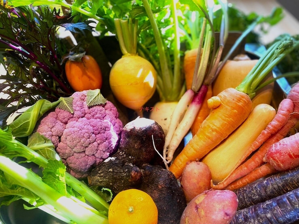 レストラン1 | 奈良春日鹿のや