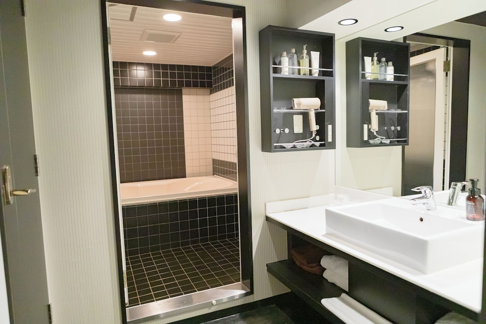 キングルーム (ロイヤルヴェール) 禁煙 バスルーム1 | ホテル リマ ショコラ